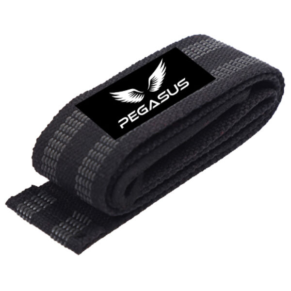 Pegasus  - Lifting Straps Thumbnail